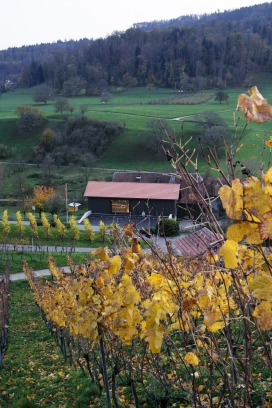 070 Umbau, Sanierung und Erweiterung der Gesamtanlage Domaine Klus 177, Aesch, LOST architekten